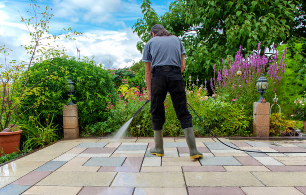 Reliable Mount Vernon, TX Pressure Washing Solutions